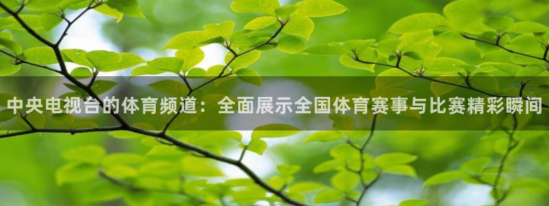 松鼠官方网站