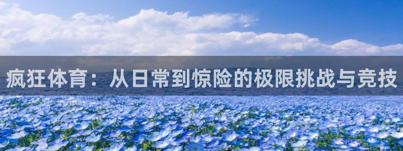 松鼠体育在线直播视频