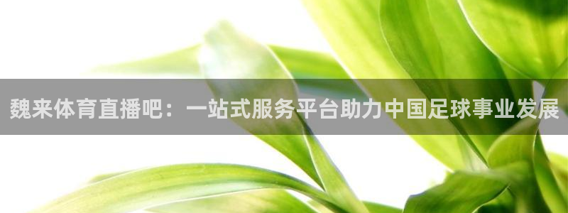 下载松鼠电视直播：魏来体育直播吧：一站式服务平台助力中国足球事业发展