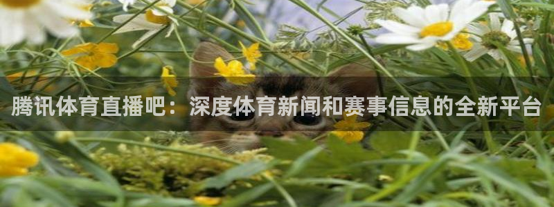 松鼠直播tv：腾讯体育直播吧：深度体育新闻和赛事信息的全新平台