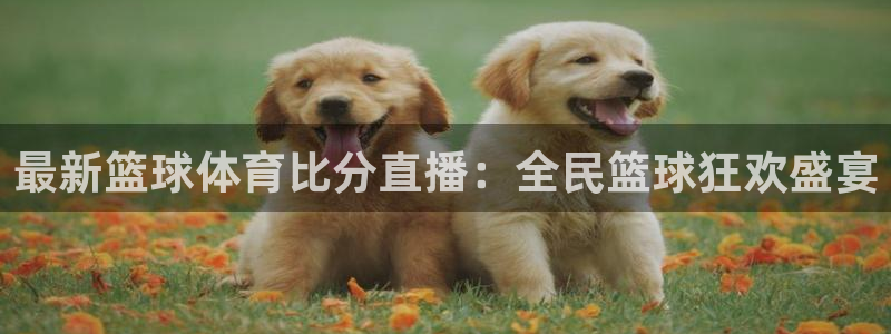 松鼠直播体育免费：最新篮球体育比分直播：全民篮球狂欢盛宴