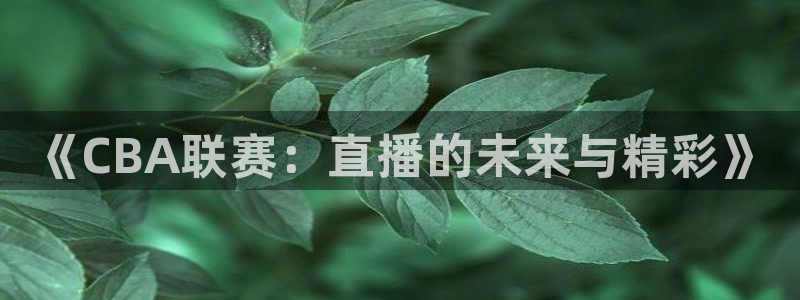 松鼠直播nba：《CBA联赛：直播的未来与精彩》