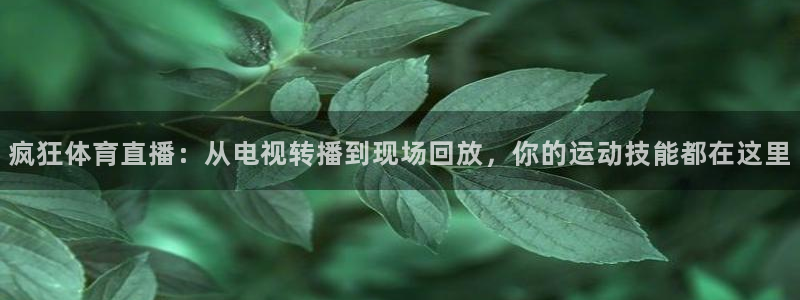 松鼠网官方下载：疯狂体育直播：从电视转播到现场回放，你的运动技能都在这里