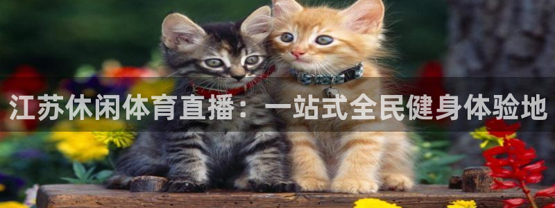 松鼠平台：江苏休闲体育直播：一站式全民健身体验地