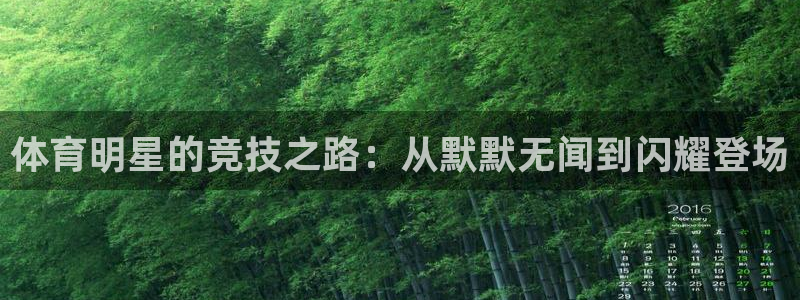松鼠体育下载：体育明星的竞技之路：从默默无闻到闪耀登场