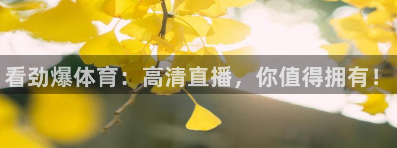 松鼠体育：看劲爆体育：高清直播，你值得拥有！